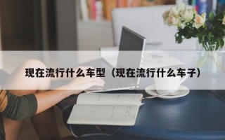 现在流行什么车型（现在流行什么车子）