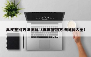 真皮鉴别方法图解（真皮鉴别方法图解大全）
