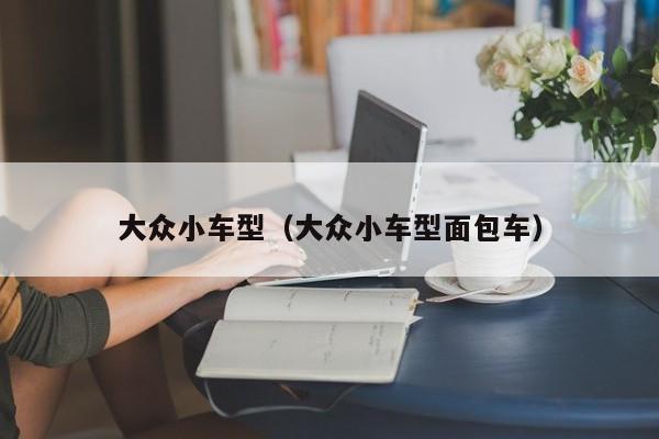 大众小车型（大众小车型面包车）-第1张图片-城南游