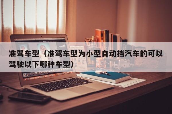 准驾车型（准驾车型为小型自动挡汽车的可以驾驶以下哪种车型）-第1张图片-城南游