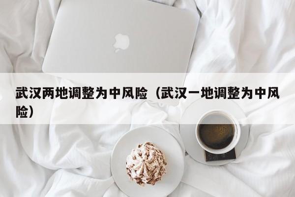 武汉两地调整为中风险（武汉一地调整为中风险）-第1张图片-城南游