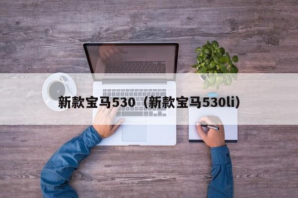 新款宝马530（新款宝马530li）-第1张图片-城南游