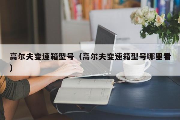高尔夫变速箱型号（高尔夫变速箱型号哪里看）-第1张图片-城南游