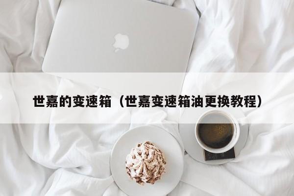 世嘉的变速箱（世嘉变速箱油更换教程）-第1张图片-城南游