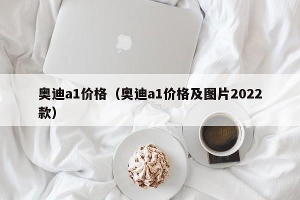 奥迪a1价格（奥迪a1价格及图片2022款）-第1张图片-城南游